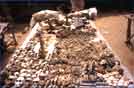 Togo. feticci in vendita al March� des F�ticheurs a Lom�